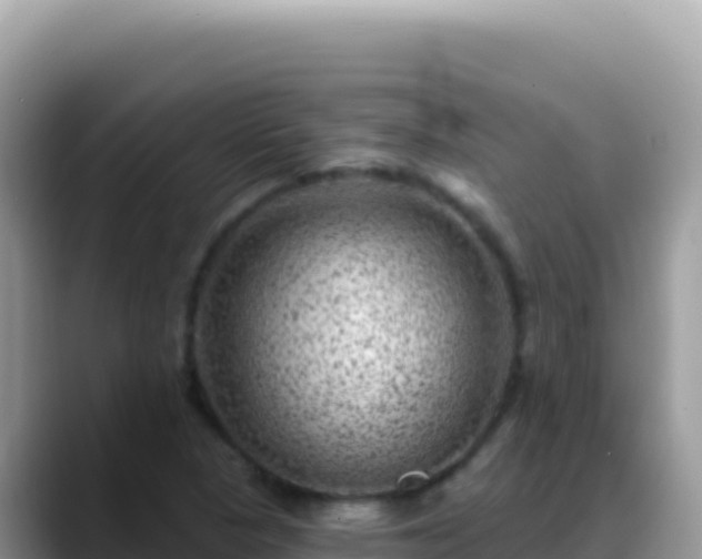 X0000088731313200706071632