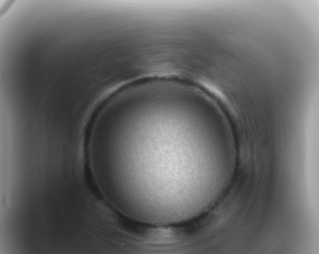 X0000088731315200706071632