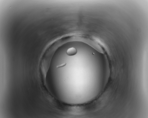 X0000088731316200706071632