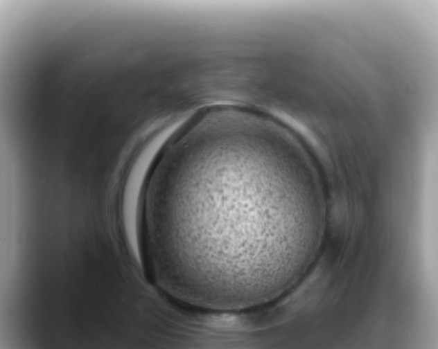 X0000088731317200706071632