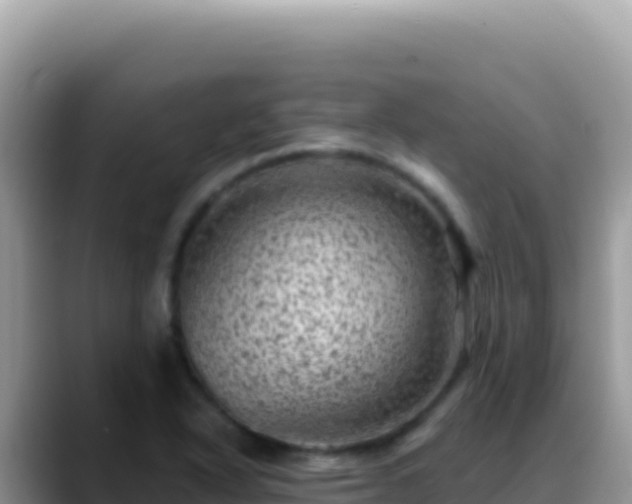 X0000088731318200706071632