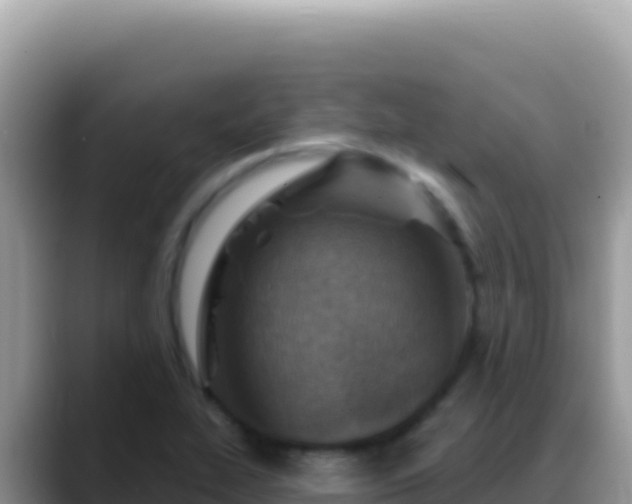 X0000088731319200706071632