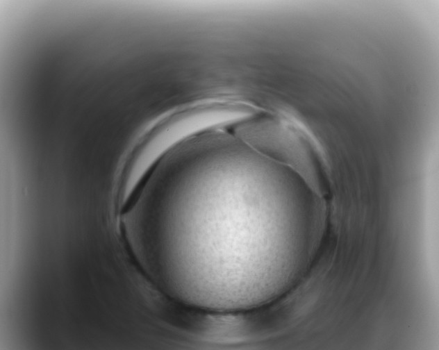 X0000088731320200706071632