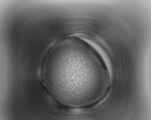 X0000088731321200706071632