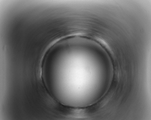 X0000088731324200706071632