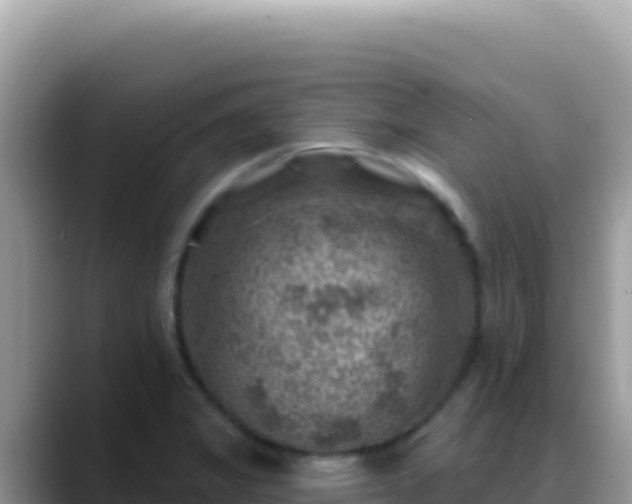 X0000088731325200706071632