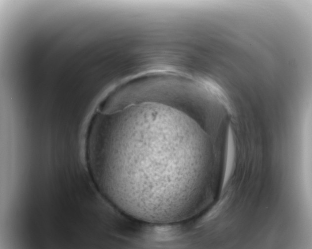 X0000088731326200706071632