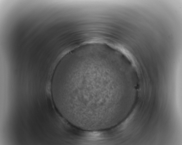 X0000088731329200706071632