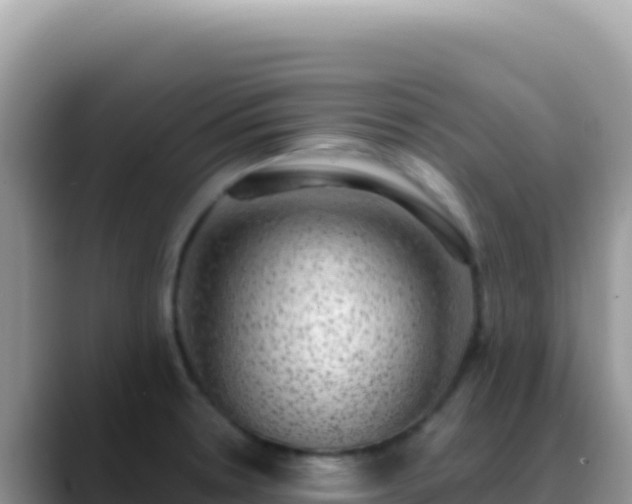 X0000088731330200706071632
