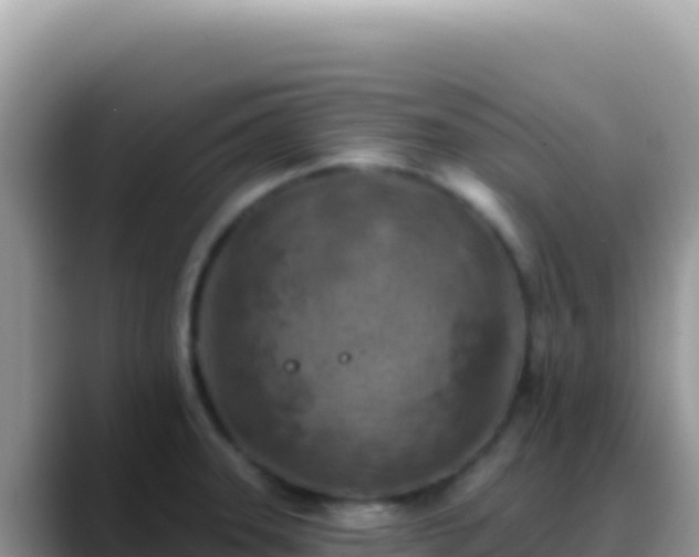 X0000088731331200706071632