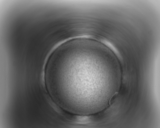 X0000088731332200706071632
