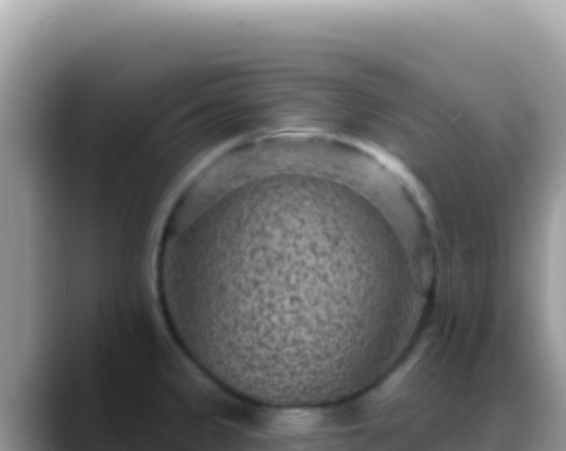 X0000088731333200706071632