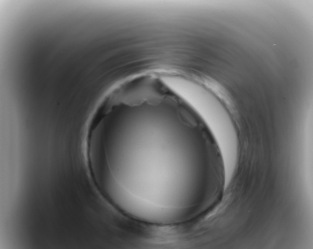 X0000088731334200706071632