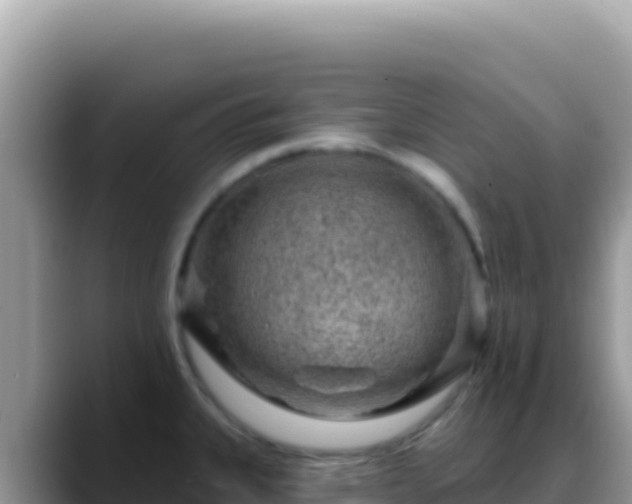 X0000088731335200706071632