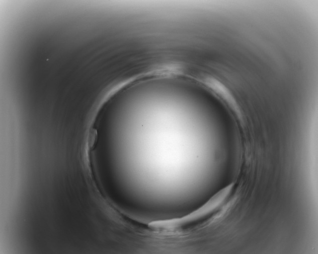 X0000088731336200706071632