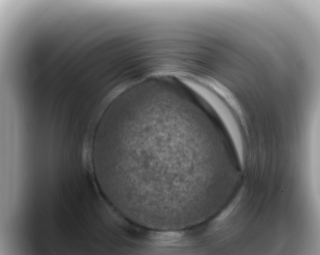 X0000088731337200706071632