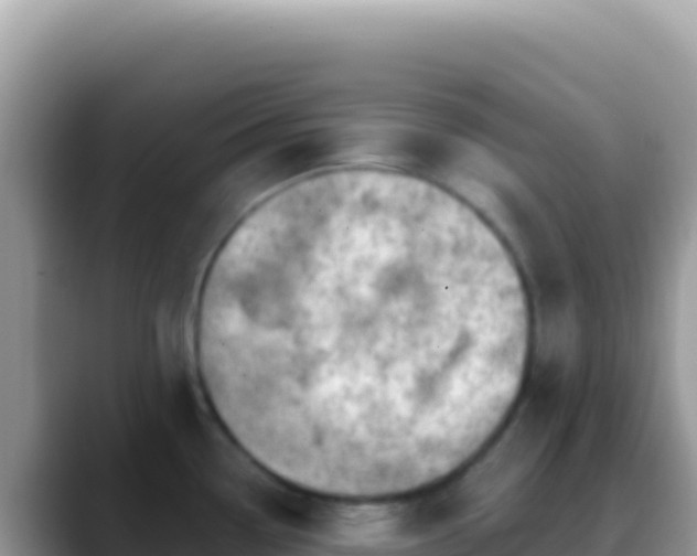 X0000088731338200706071632