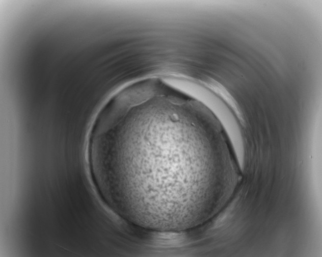 X0000088731339200706071632