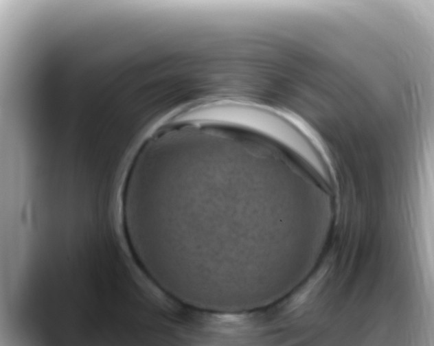X0000088731341200706071632