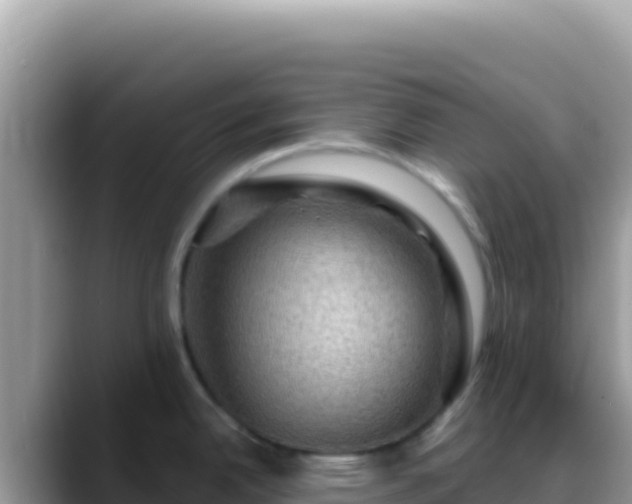 X0000088731342200706071632