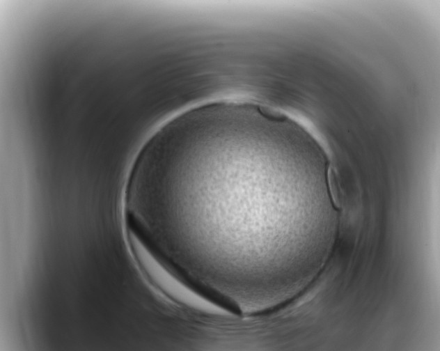 X0000088731343200706071632