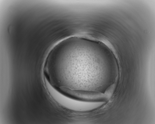 X0000088731344200706071632
