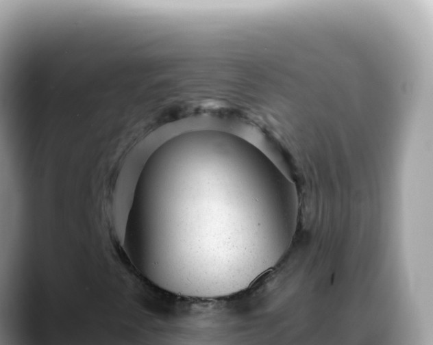 X0000088731345200706071632