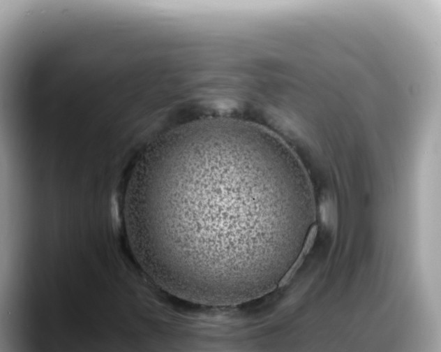 X0000088731347200706071631