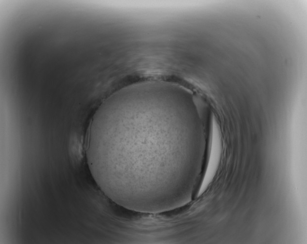 X0000088731348200706071631