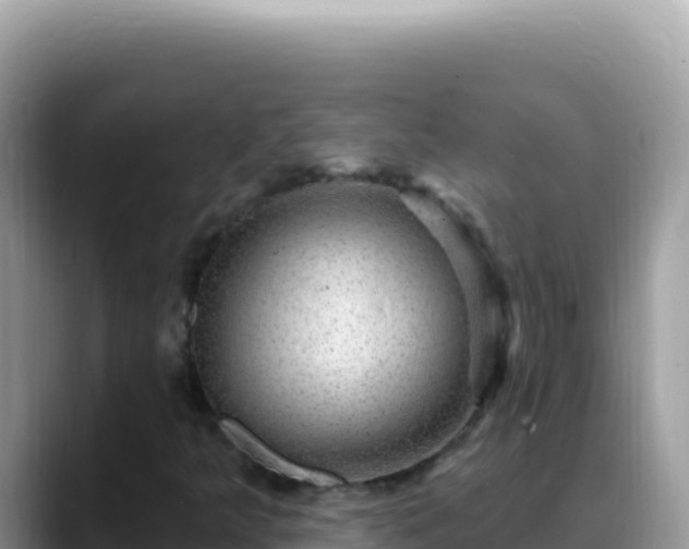 X0000088731349200706071631