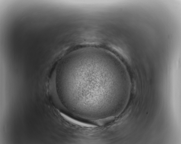 X0000088731350200706071631