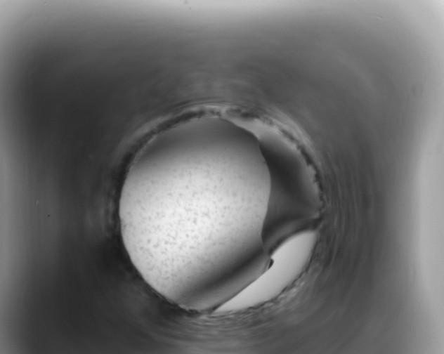 X0000088731352200706071631