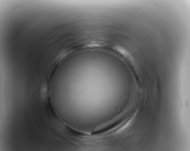 X0000088731353200706071631