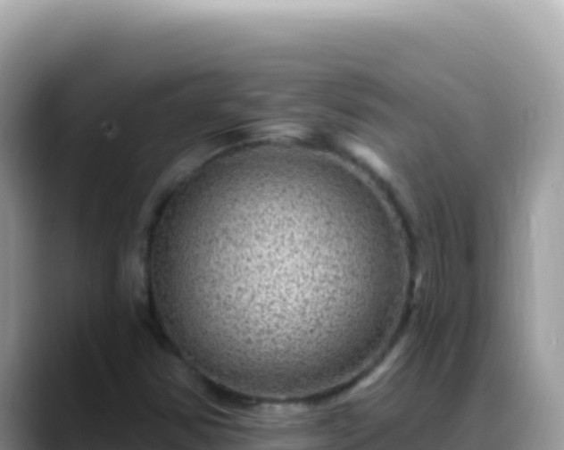 X0000088731354200706071631