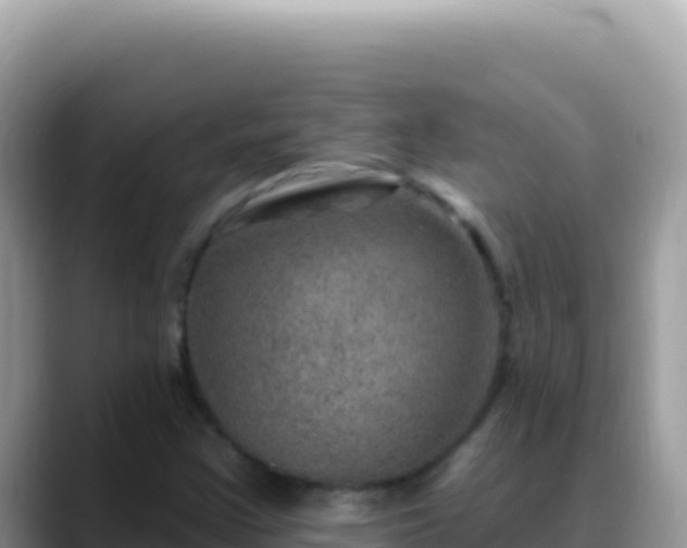 X0000088731355200706071631