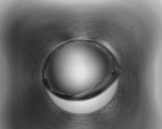 X0000088731356200706071631