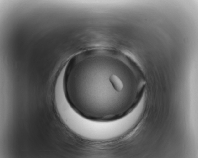 X0000088731357200706071631