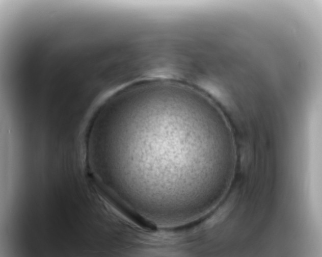 X0000088731358200706071631