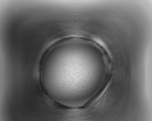X0000088731360200706071631