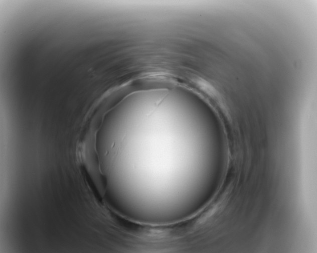 X0000088731361200706071631