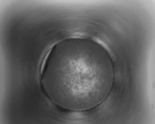 X0000088731362200706071631