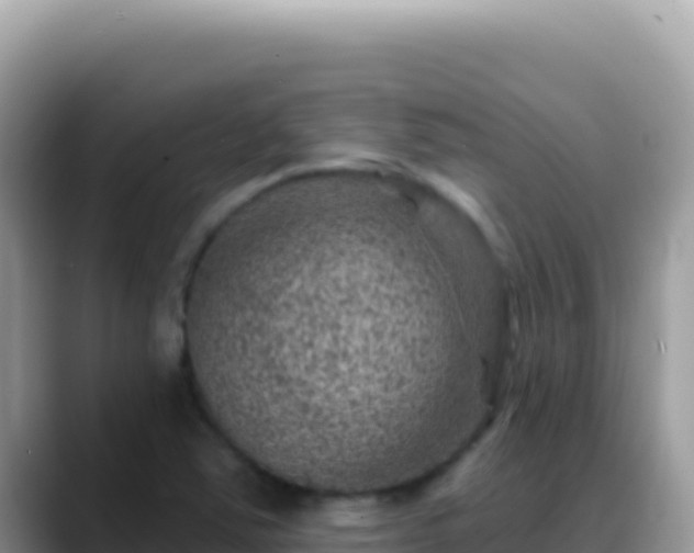 X0000088731363200706071631