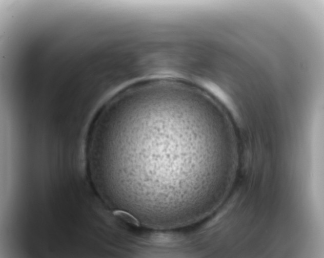 X0000088731364200706071631