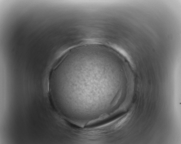 X0000088731365200706071631