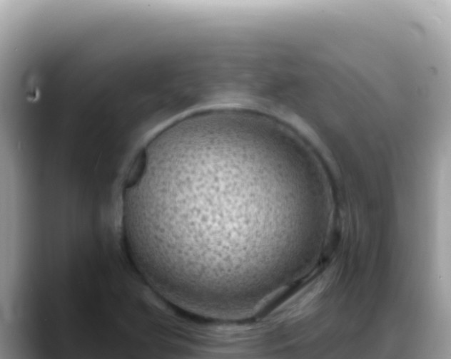 X0000088731366200706071631
