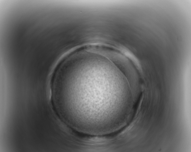 X0000088731368200706071631