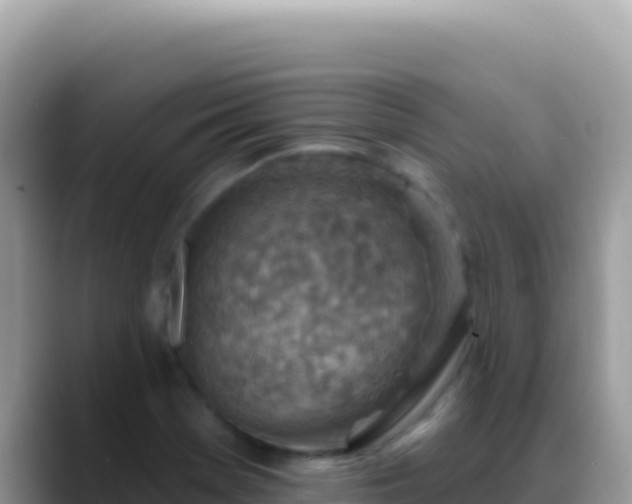 X0000088731369200706071631