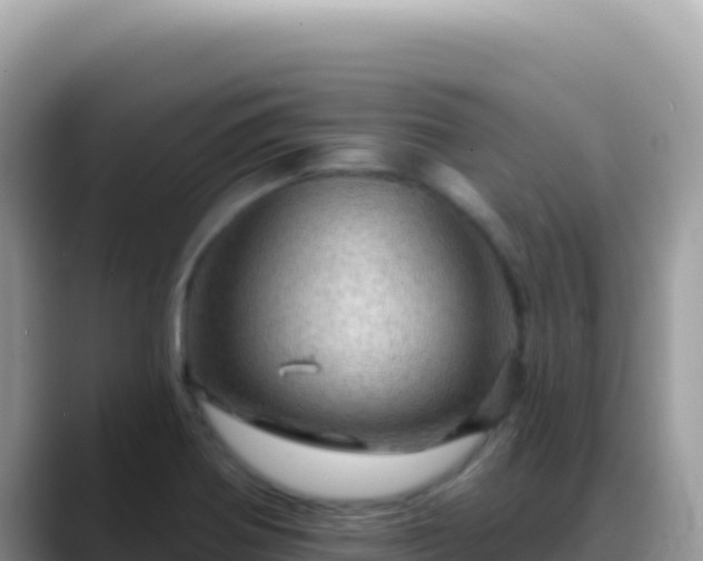 X0000088731370200706071631