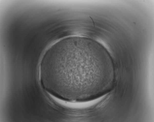 X0000088731371200706071631