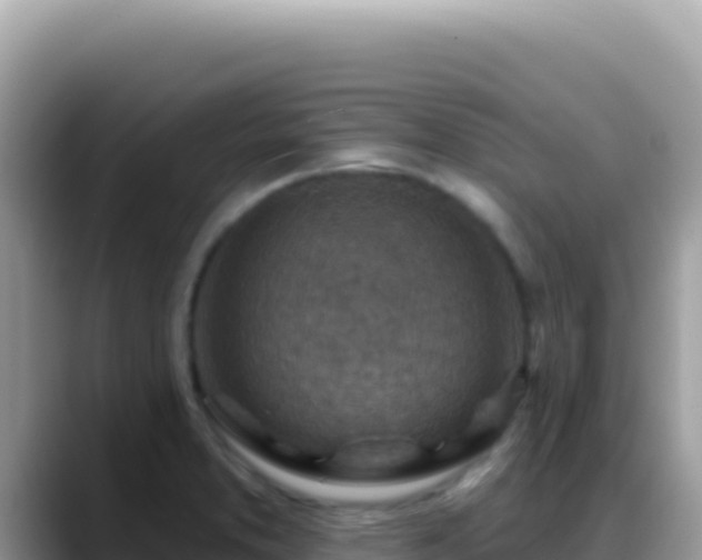 X0000088731373200706071631